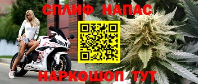 МДПВ Новозыбков