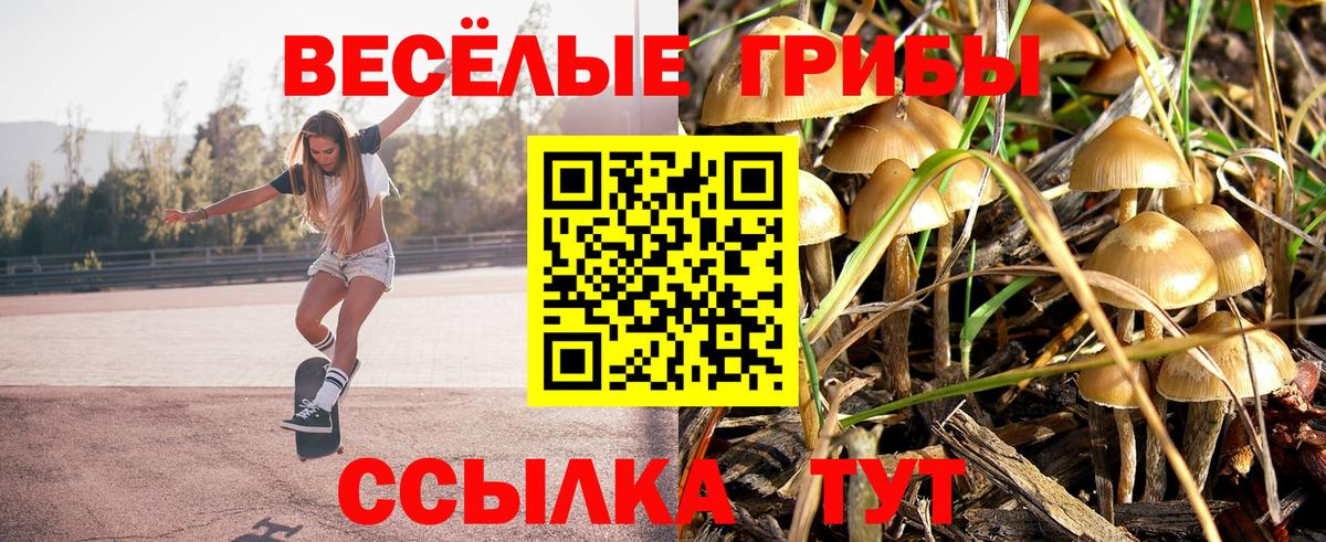 Галлюциногенные грибы прущие грибы Моршанск